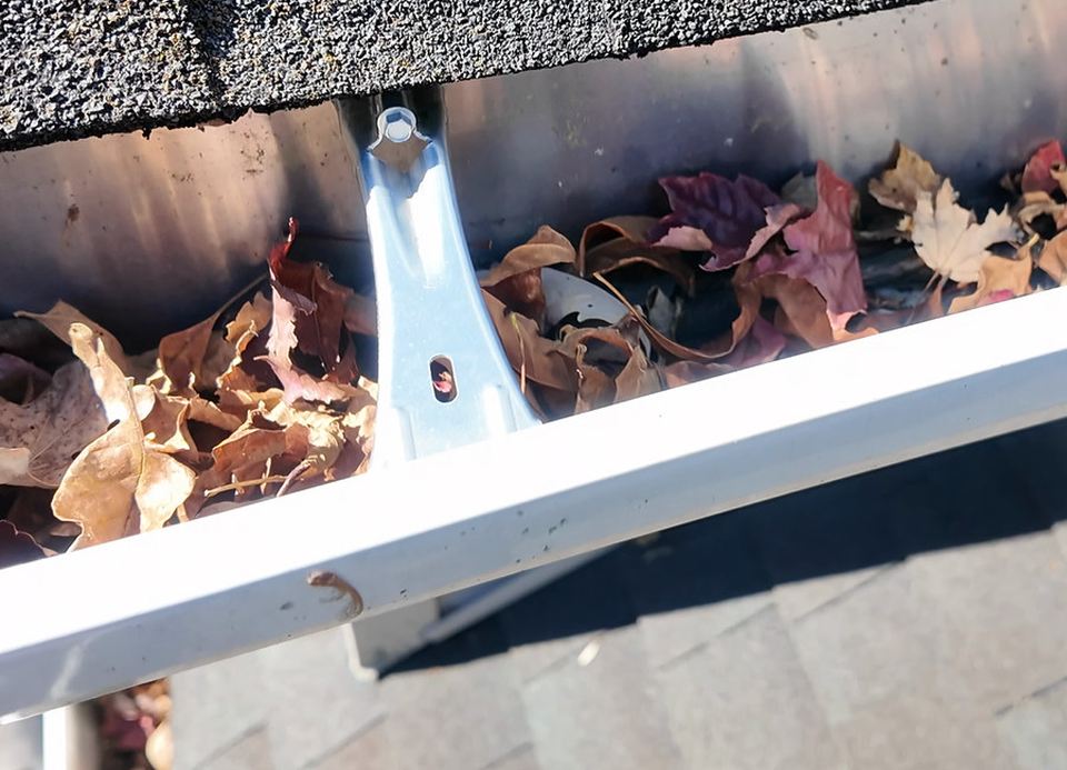 Before cleaning: leaves and material inside the gutter trough.