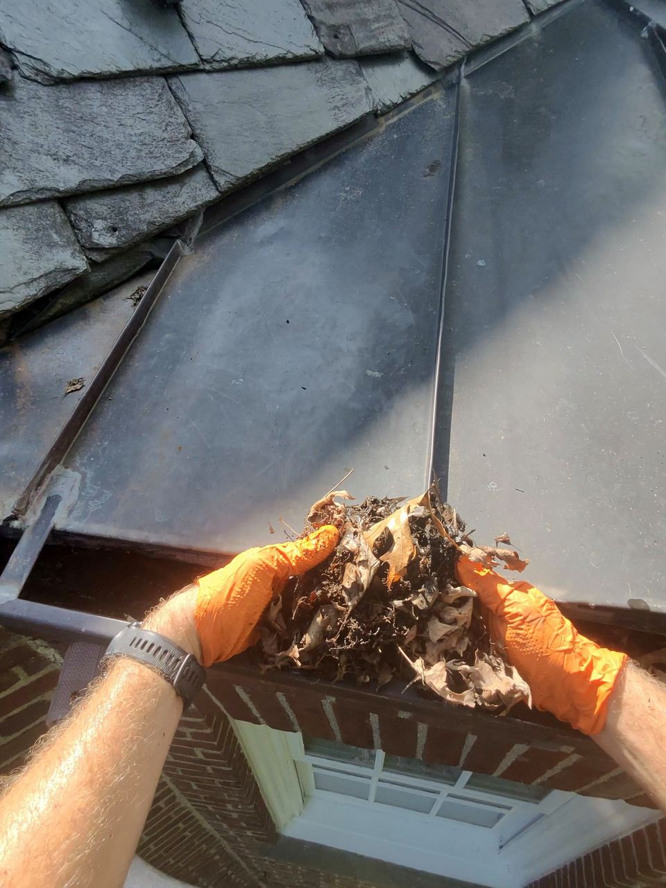 Gloved hands clearing compacted debris from a gutter trough.