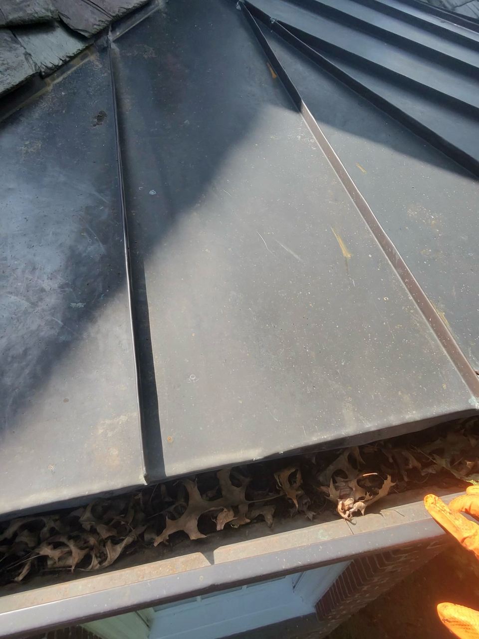A packed layer of leaves visible inside a gutter before the cleaning.